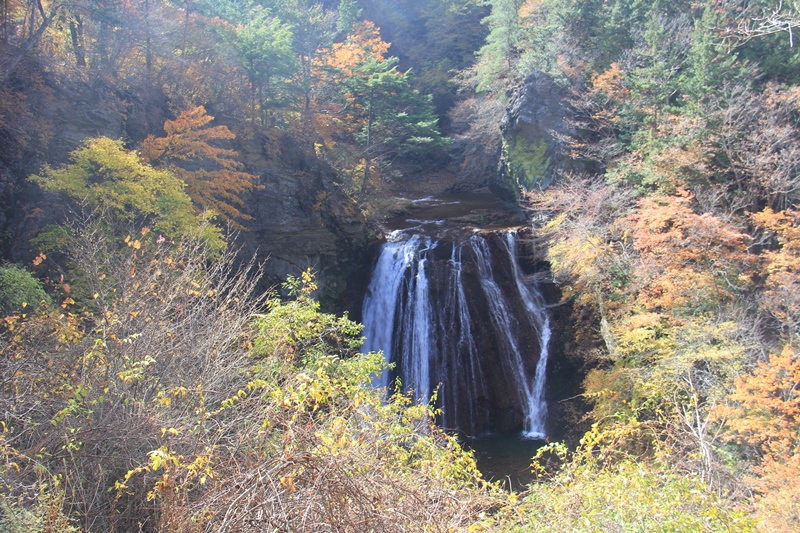b0207615_16422262.jpg