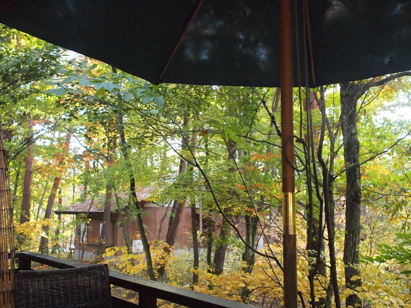 b0207615_16440972.jpg