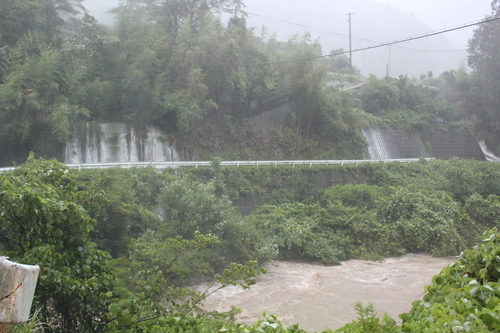 e0101917_7581438.jpg