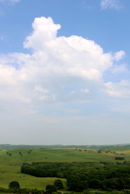 e0133025_16405285.jpg