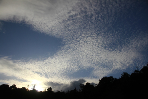 d0158028_21104938.jpg