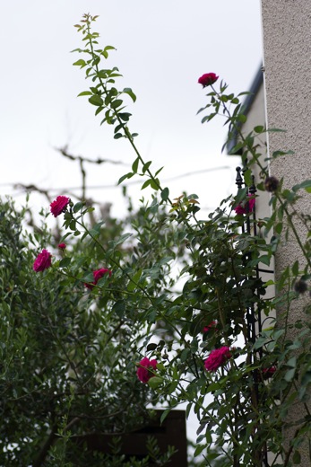 e0021328_0425117.jpg