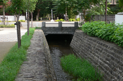 a0046429_6545630.jpg