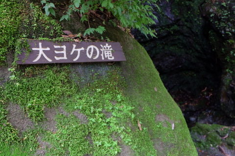 b0281732_746167.jpg