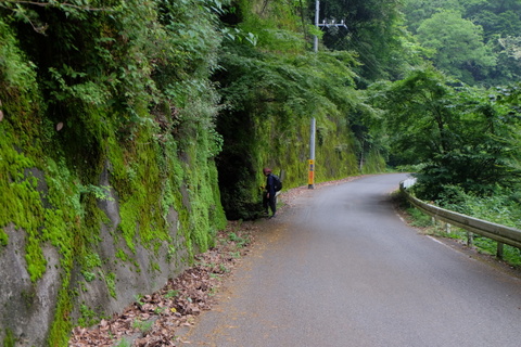 b0281732_7463252.jpg