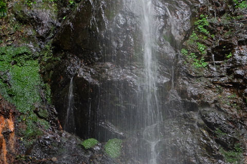 b0281732_7464081.jpg