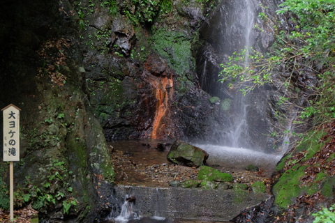b0281732_7465627.jpg