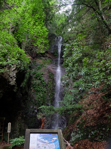 b0281732_7471560.jpg
