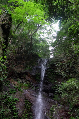 b0281732_747268.jpg