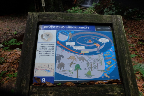b0281732_747879.jpg