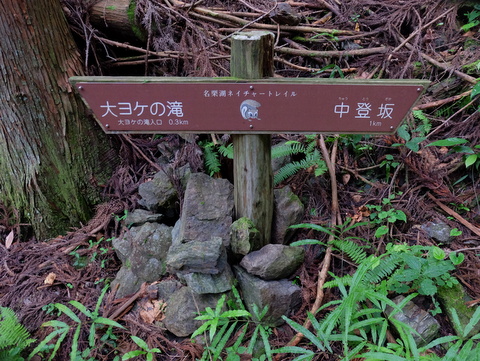 b0281732_7511865.jpg