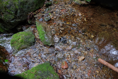 b0281732_7513345.jpg