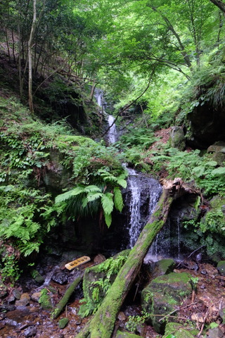 b0281732_752050.jpg