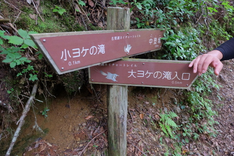 b0281732_7522179.jpg