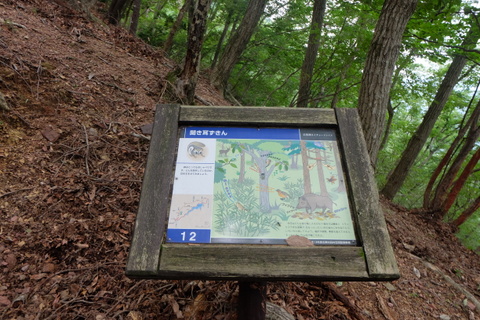 b0281732_752535.jpg