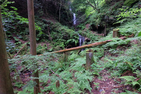 b0281732_752840.jpg