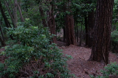 b0281732_7531357.jpg