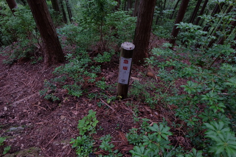 b0281732_7532116.jpg