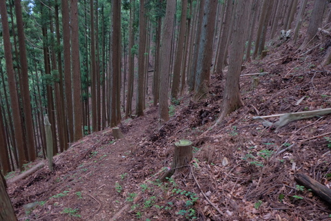 b0281732_7535230.jpg