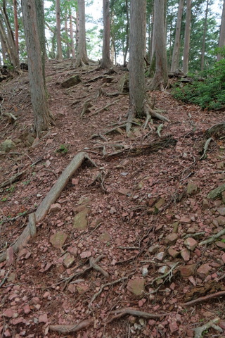 b0281732_753774.jpg