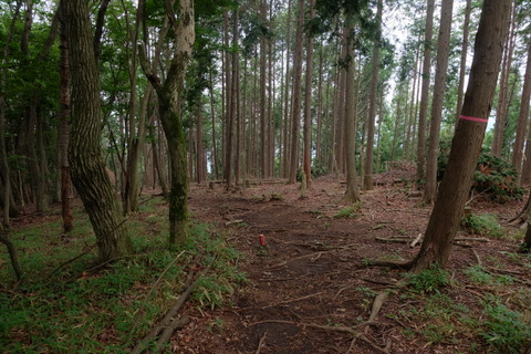 b0281732_7542516.jpg