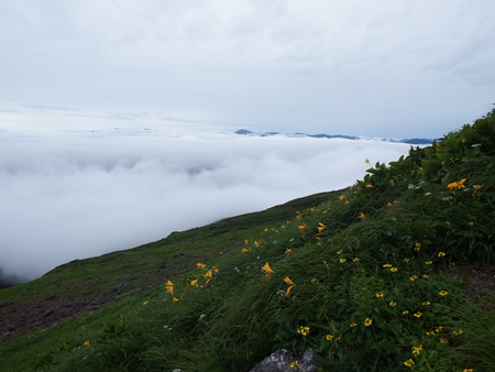 f0118332_027144.jpg