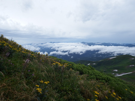 f0118332_036210.jpg