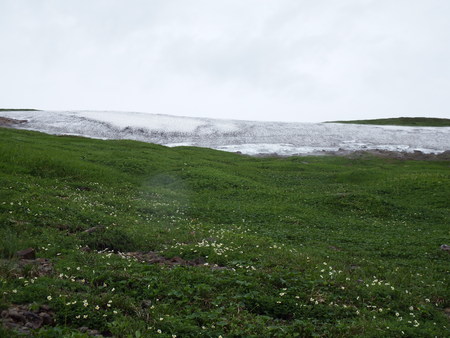 f0118332_0373132.jpg