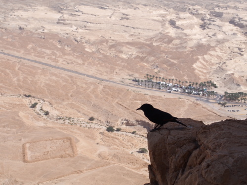 f0347942_23483888.jpg