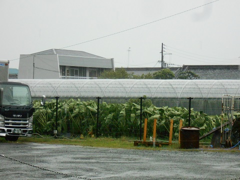 a0124543_110373.jpg