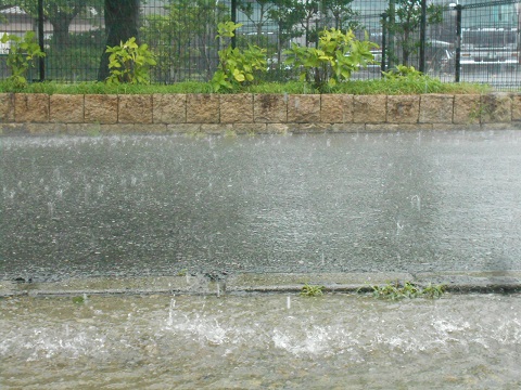 a0124543_1128137.jpg