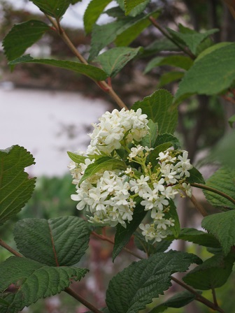 b0246758_18072339.jpg