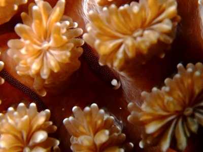 b0033573_17181428.jpg