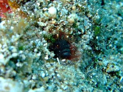 b0033573_17361208.jpg