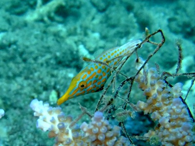 b0033573_17413187.jpg