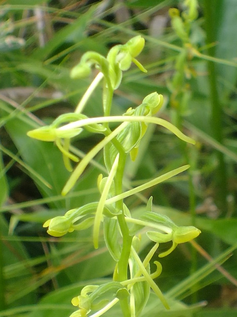e0145782_17492487.jpg