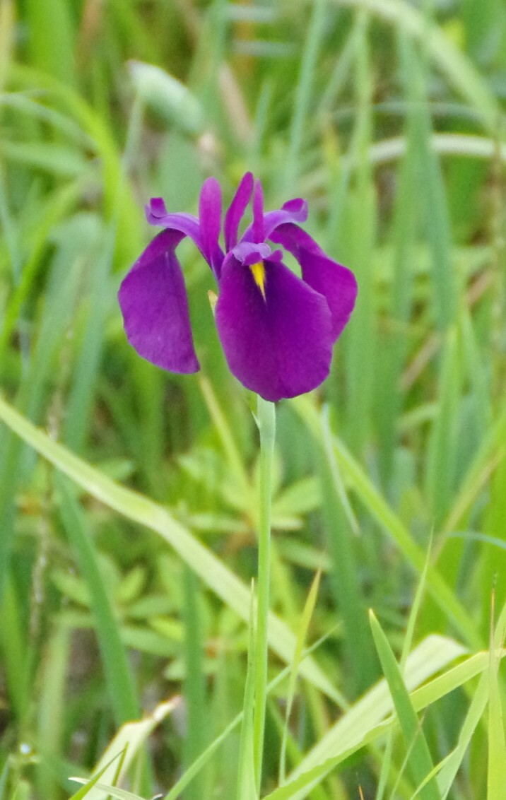 c0144185_15141343.jpg