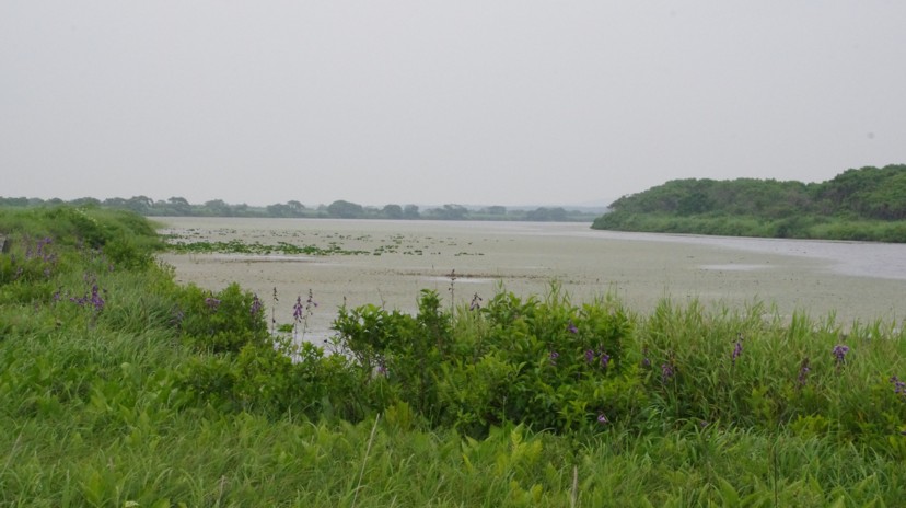 c0144185_1572255.jpg