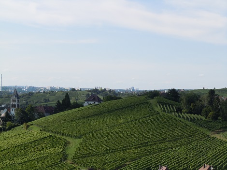 e0255187_1743185.jpg