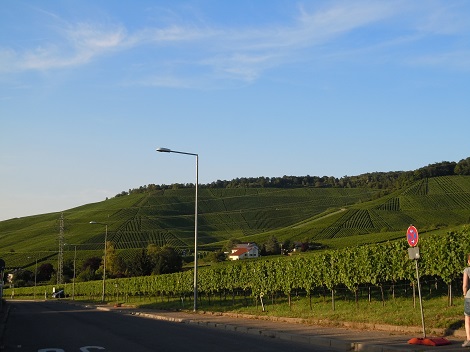 e0255187_18204294.jpg