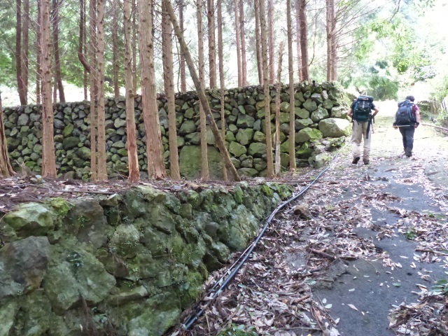 f0357487_21345539.jpg
