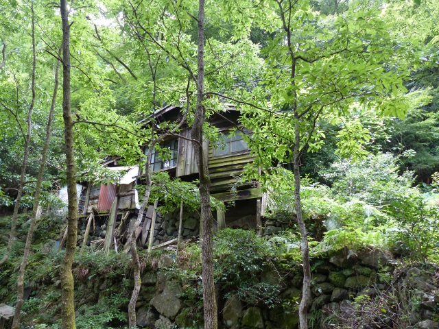 f0357487_21452763.jpg