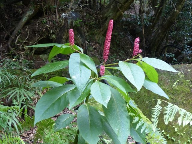 f0357487_21512346.jpg