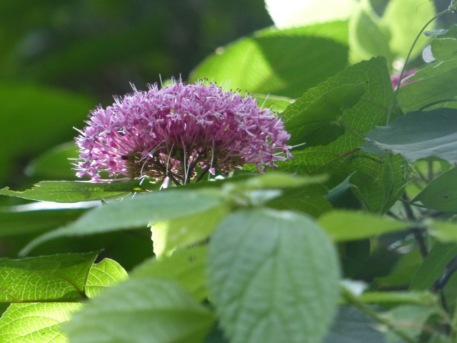 f0357487_22111493.jpg