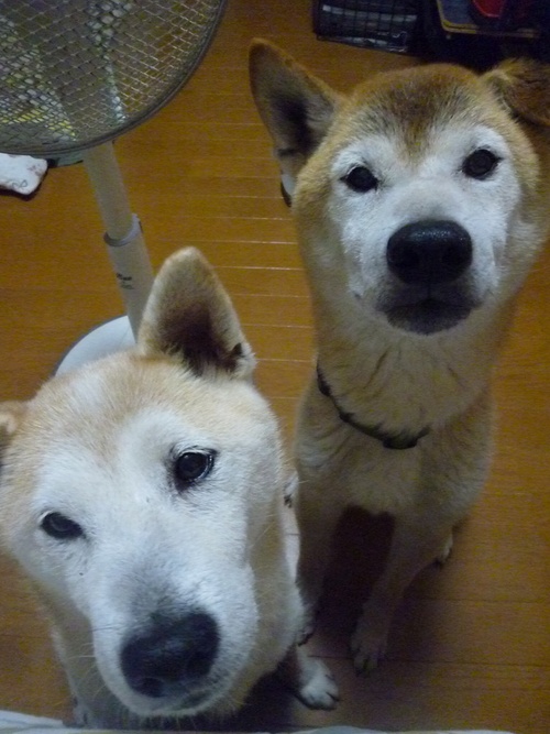 c0123890_21291117.jpg