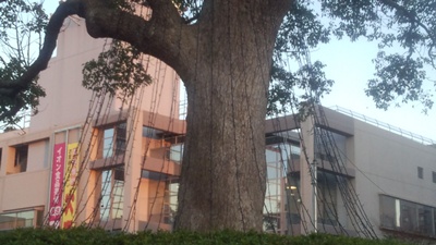 c0219090_17591242.jpg