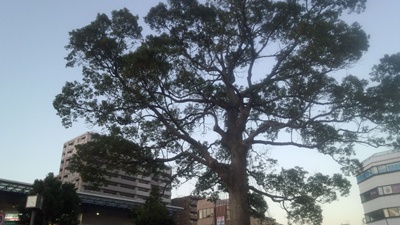 c0219090_1804882.jpg
