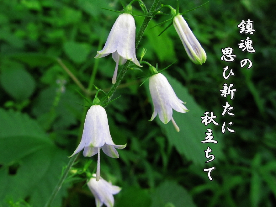 f0137096_1511418.jpg