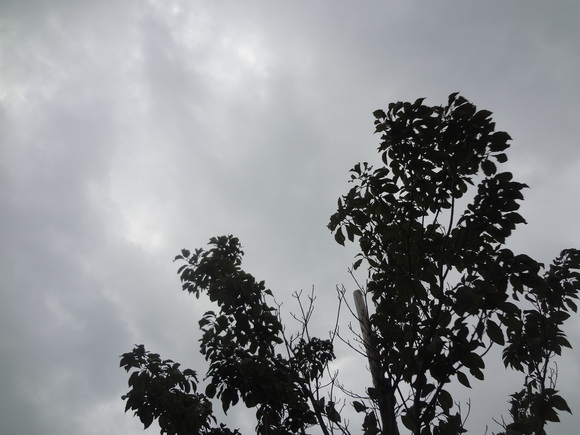 e0292102_1249946.jpg