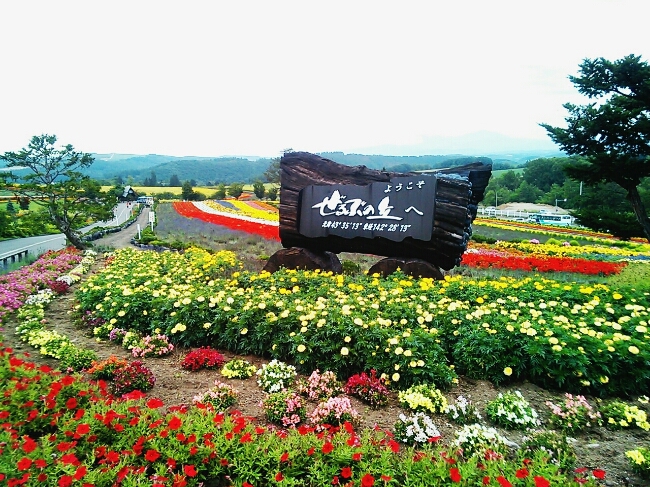a0127005_210899.jpg